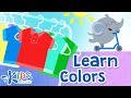 Color Recognition and Preferences