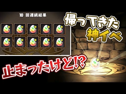 1年ぶりの最大50連無料スーパーゴッドフェスで神引き！？【パズドラ】