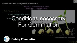Conditions necessary For Germination