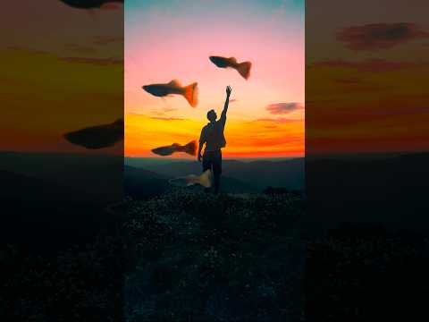 Flying fish ๐ ๐ฑ shot w @xiaomi #xiaomi14ultra #creative #cinematic #xiaomi