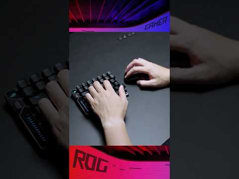 ROG Falcata Wrist Rest Permutations