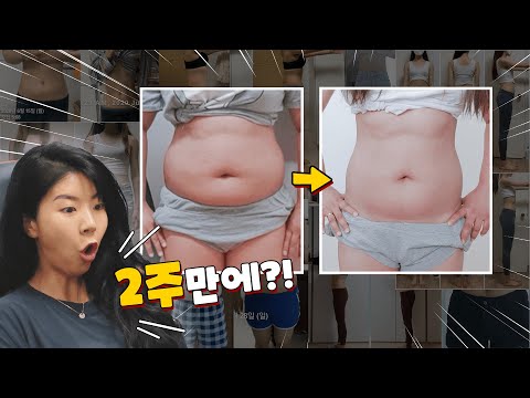 2주만에 100명의 일반인뱃살을 폭파시킴. 기적의 루틴 전체공개