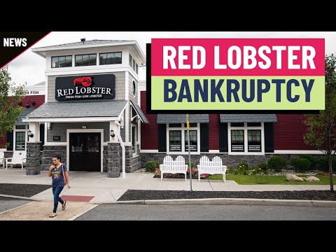 Red Lobster files for bankruptcy — what it means for your next
seafood dinner