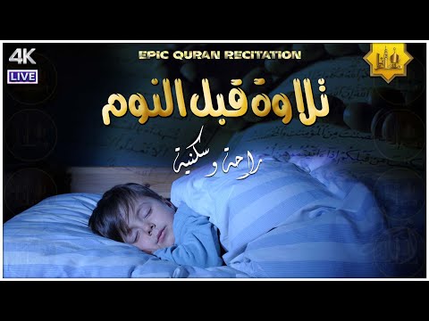 قرآن كريم قبل النوم 💤 - راحة نفسية 🎧 - طمأنينة 💚 - تهدئة الأعصاب 😴 | القارئ حسام الدين عبادي