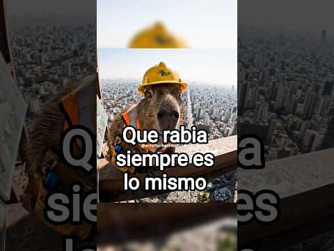 Voy a dañar todos los vidrios #viralshort #veo3 #inteligenciaartificial