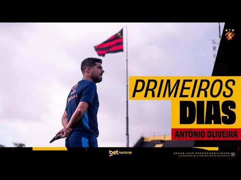 image para ilustrar o artigo