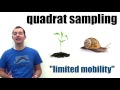 Population Estimation Methods in Ecology