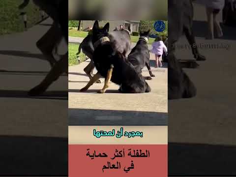 الطفلة أكثر حماية في العالم