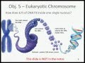 Cell Cycle and Mitosis Concepts