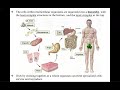 Cell Biology Concepts and Applications