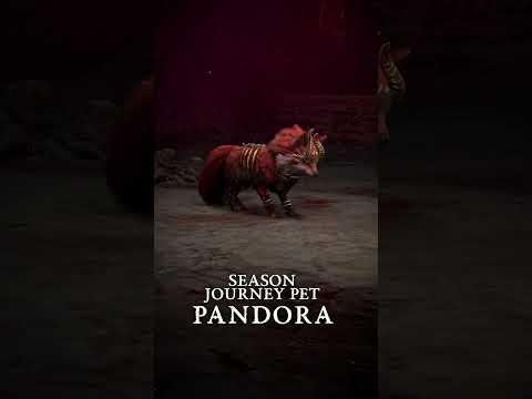 Pandora is ready to leap into action 🦊