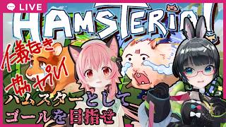 【ハムステリア】激ムズ爆走ハムゲーム！！？ゴールできるのか！？【#みあたみ生配信 】