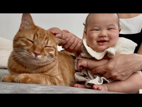 猫に興味津々な赤ちゃんが初めて撫でたらこうなりました