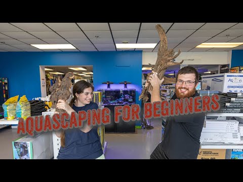 Aquascape for beginners! Setting up a Mairna 20gal LED tank kit. 
walking you through what's included in the tank kit as well