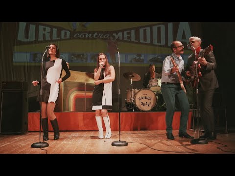 BALUBA SHAKE (la magia degli anni '60)