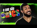 BRICS: Economia e Características