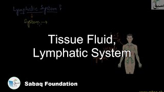Tissue Fluid, Lymphatic System