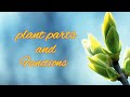 Plant Structure and Functions