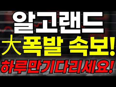 🔴[알고랜드 전망] 🏆大폭발 속보!!!🏆하루만기다리세요!!🔥