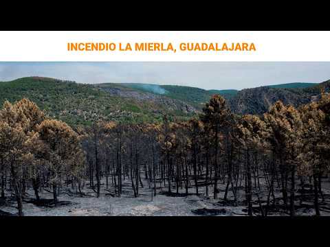 🔴DIRECTO | Imágenes en directo del incendio de La Mierla, Guadalajara |RTVE Noticias