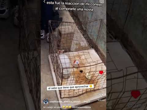 No perdió tiempo 😂😂 #humor #memes