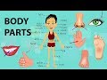 Human Body Parts Identification