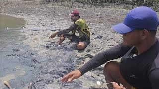 PESCARIA NO MAR, CENTENAS E MILHARES DE FOLHAS E FOME NO VÍDEO DE HOJE. 
