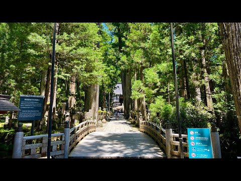 見たときがタイミング！願い叶う不思議な場所※高野山奥之院遠隔参拝