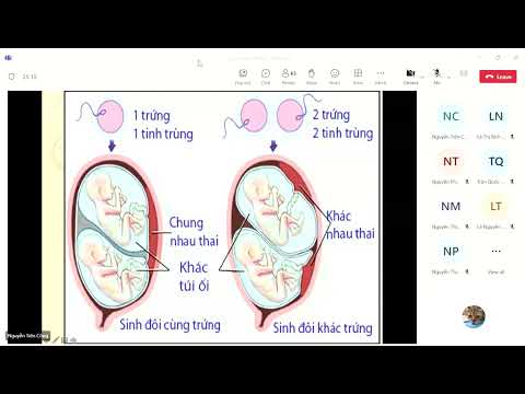 đa thai thầy Công