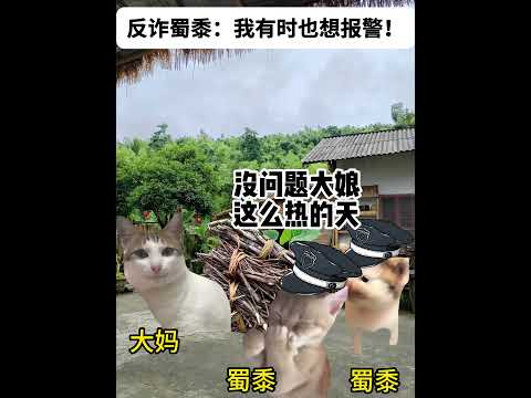 猫の動画サムネイル - 反诈蜀黍：我有时也挺想报警的！#有趣 #猫meme #猫meme剧场 #猫meme小剧场 #内容过于真实  #故事 #貓 #猫猫meme小剧场 #喵不可言
