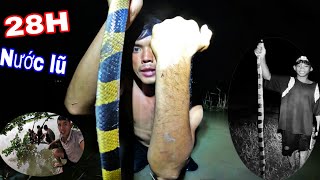 Quá Dáng Sợ Con Rắn Độc ! 28H Sinh Tồn Ngoài Đồng Ruộng Mùa Nước Lũ | Tìm Thức Ăn Và Ngủ Giữa Đồng