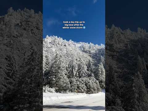 Took a day trip up to Big Bear after the snowstorm yesterday #bigbear #snow #snowstorm #outdoorlife