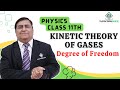 Degrees of Freedom in Molecules