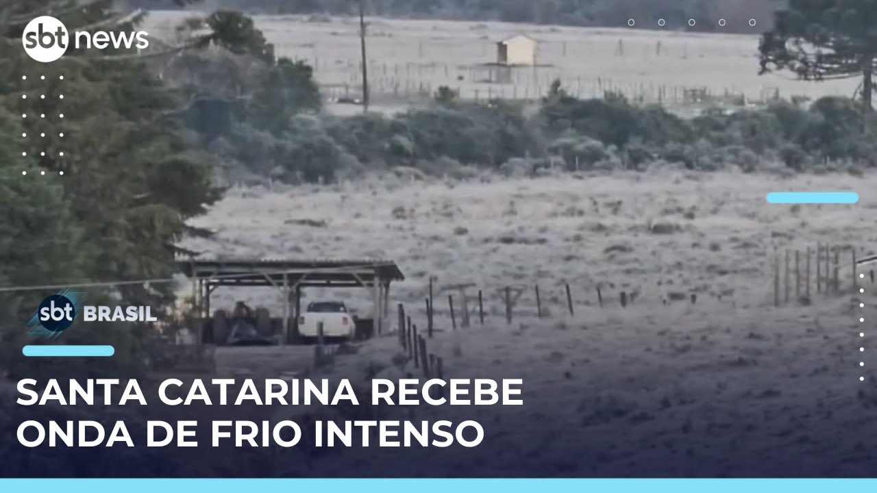 Geada neve e congelamento atingem a região da serra catarinense | SBTBrasil