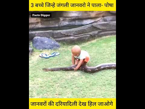 3 बच्चे जिन्हे जंगली जानवरों ने पाल पोश कर बड़ा किया Amazing fact of Mogli