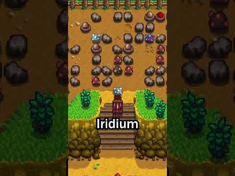 Every Stardew Valley Farm