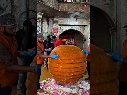 Biggest Laddu Record