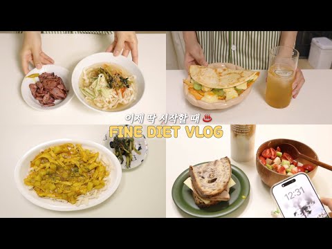 의지 생겼을 때 바로 시작! 누구나 오~래 따라할 수 있는 레시피🌮 다이어트 브이로그 | 참치퀘사디아, 닭가슴살나물김밥, 여름샐러드, 열무냉국수, 감자카레국수 | 간헐적단식