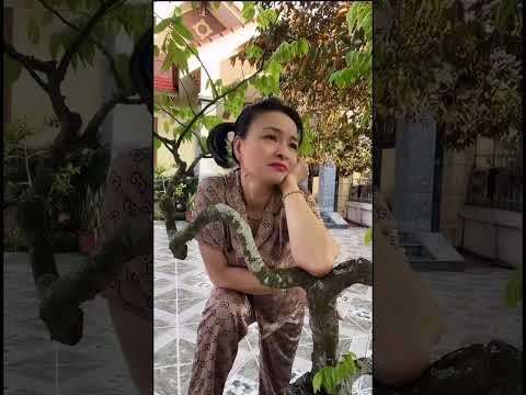 Ông thầy lang nhà tôi
