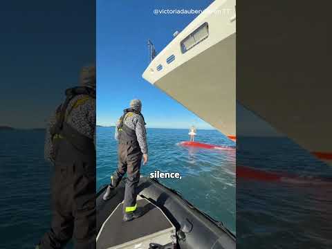 Ballet dance on ship bow