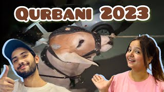 Qurbani 2023 🤍