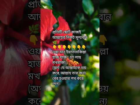 তুমি কি জানো, ছোট ছোট কাজেও আল্লাহ বড় বরকত দেন❓ #shortvideo #motivation #vairalvideo #ইসলাম