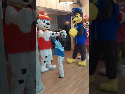 A Patrulha Canina invadiu a minha festa | Theozinhoefamilia