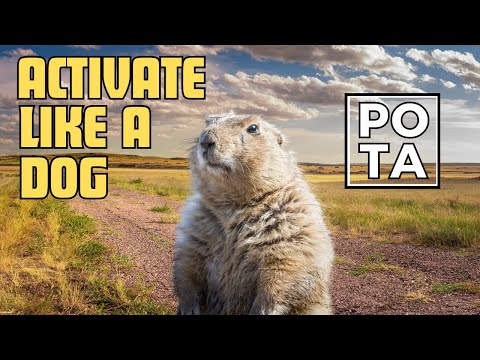 Activating a Prarie Dog Town with the Poseidon Antenna