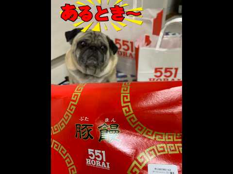 551の蓬莱あるとき〜ないとき〜 #パグ #pug #うまい #551 #蓬莱