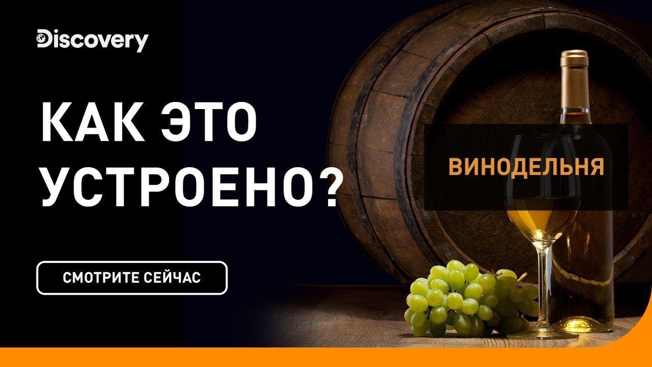 Винодельня Как это устроено