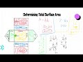 Total Surface Area of Prisms Explained