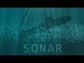 Understanding SONAR and Its Effects