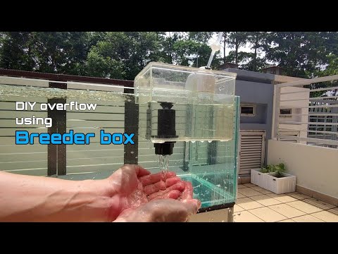 Simple DIY overflow system using a breeder box I've made a simple overflow box using an old breeder box. Flow rate of this overflow is full depende