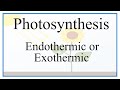 Photosynthesis and Cellular Respiration Concepts